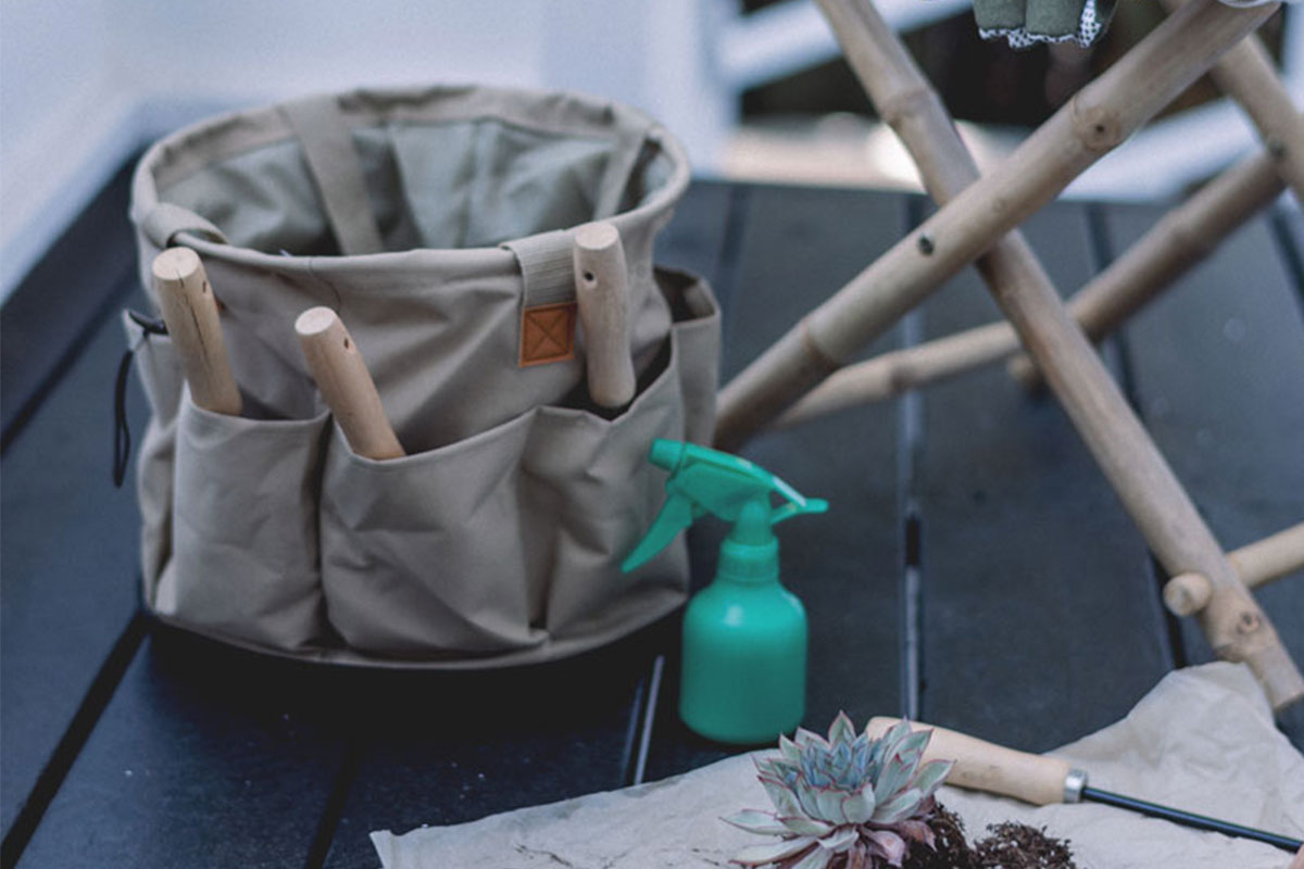 divi-treeservices-theme-1