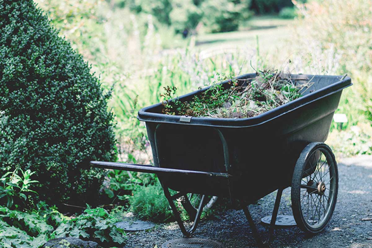 divi-treeservices-theme-3